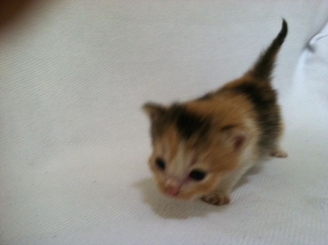 photo IMG_0812_zps90079e79.jpeg