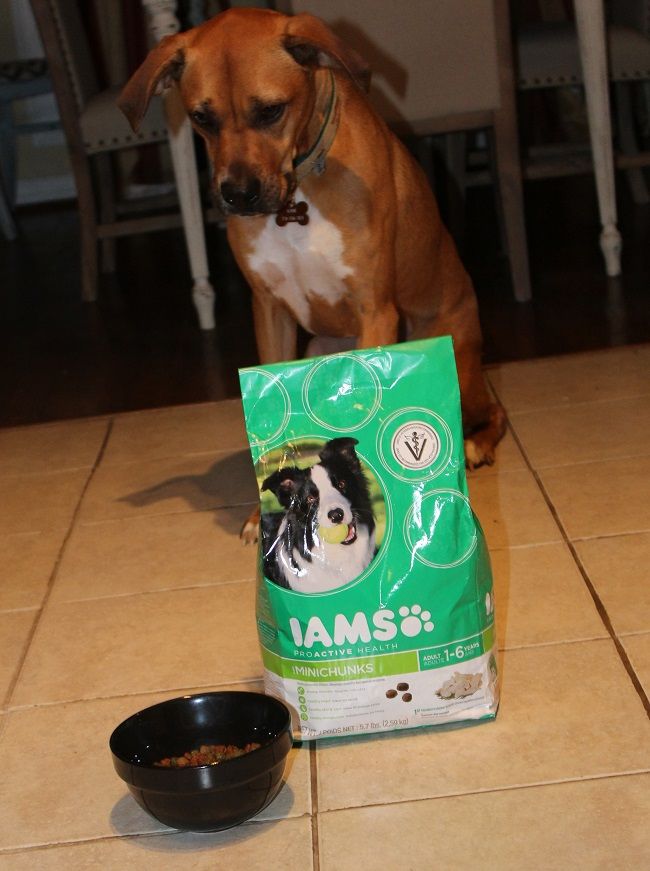  photo IAMS Campaign 1_zpsuwp7phnx.jpg