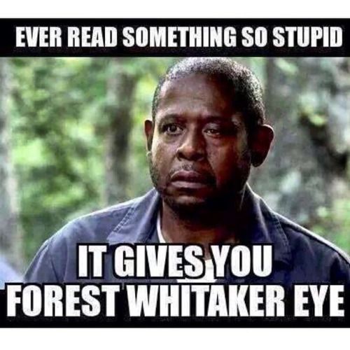 tumblr_ngr7ysZNoY1r0anl7o1_500_zpsml6puj