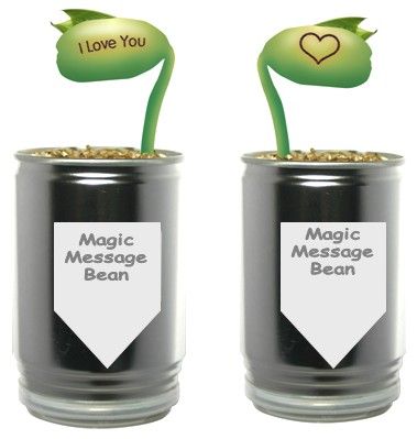 Magic Beans