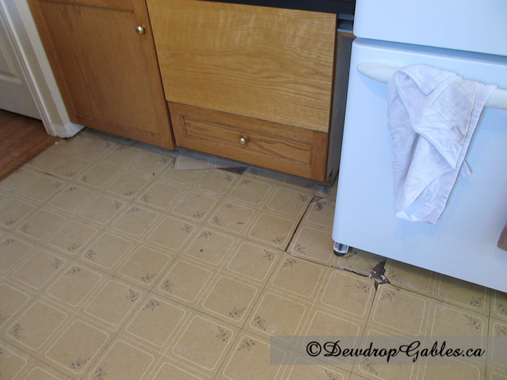 DIY-Kitchen-Makeover Floor before zpsb253cddf DIY Kitchen Makeover Part 1