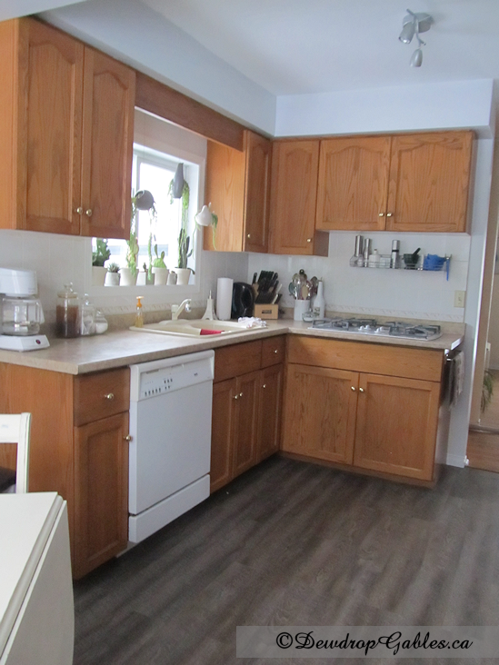 DIY-kitchen-makeover New floor1 zps396b6247 DIY Kitchen Makeover Part 1