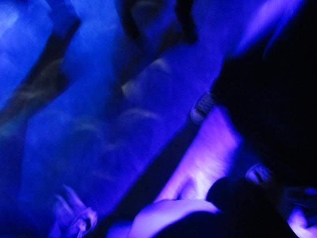 photo Jul2013084_zps4f555d0c.jpg