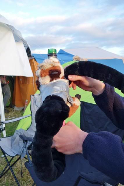 photo Roskilde2014529_zpsc6f09f1d.jpg