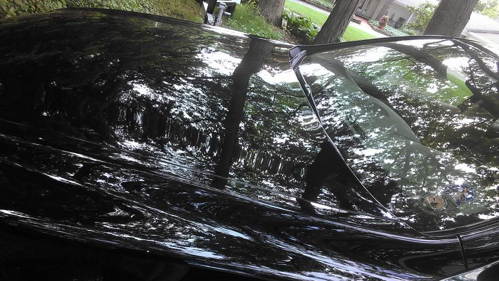 IMAG0062_zps6b069673.jpg