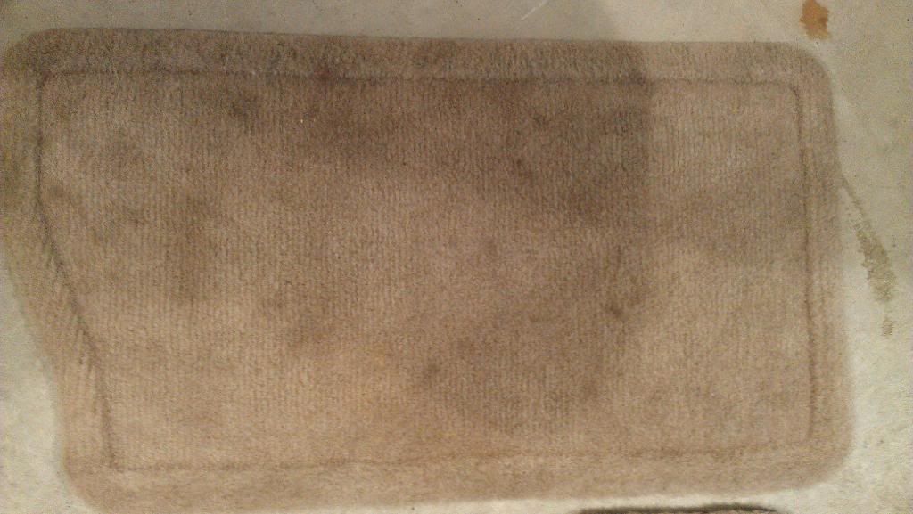 IMAG0102_zpsc9b35e8c.jpg