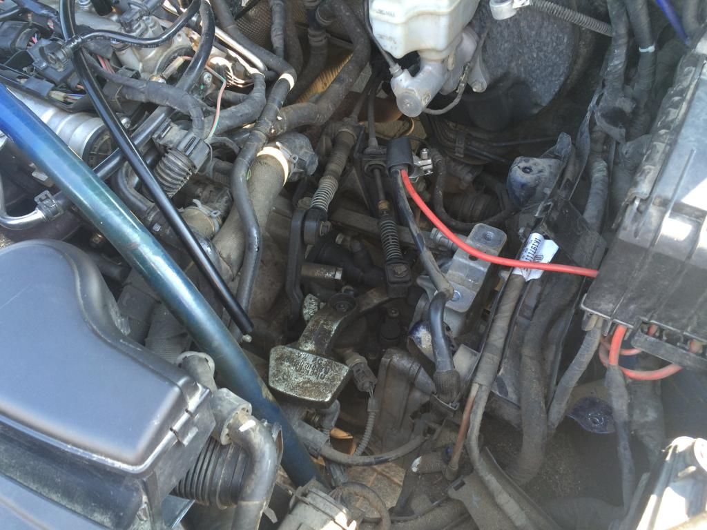 7EDCC4AB-17B4-4FB2-B299-C145E029A636_zps