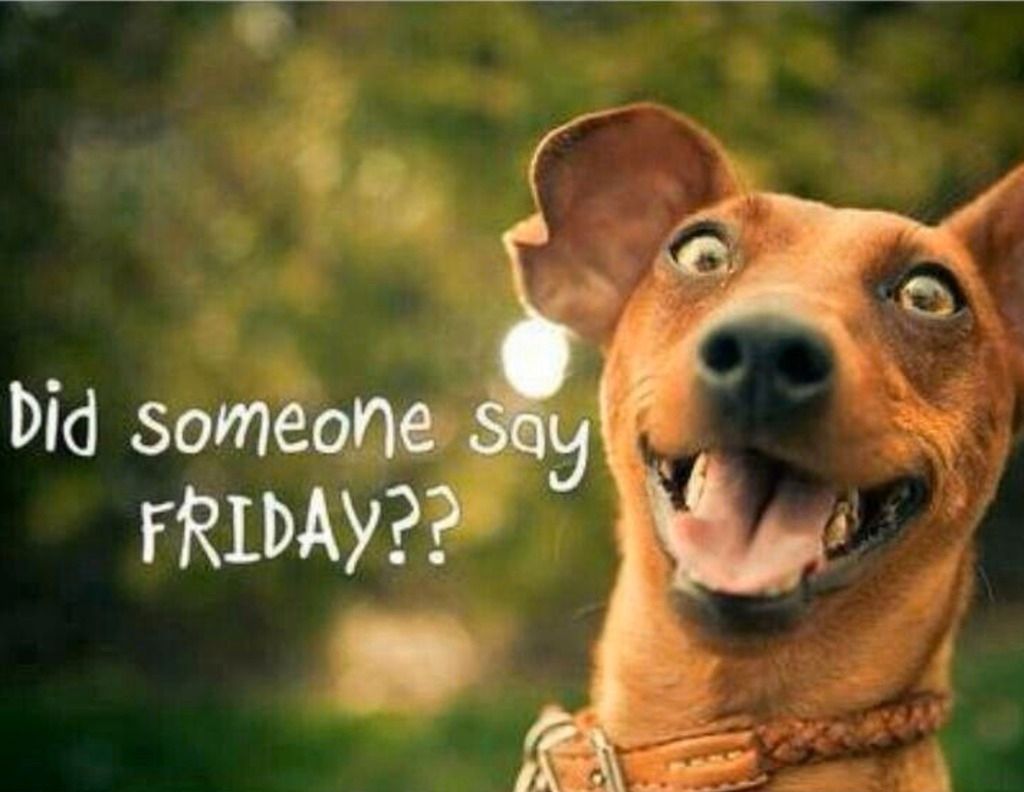 Happy-Friday_zpsrcmpnu6j.jpg