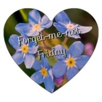 Forget-me-not-Friday