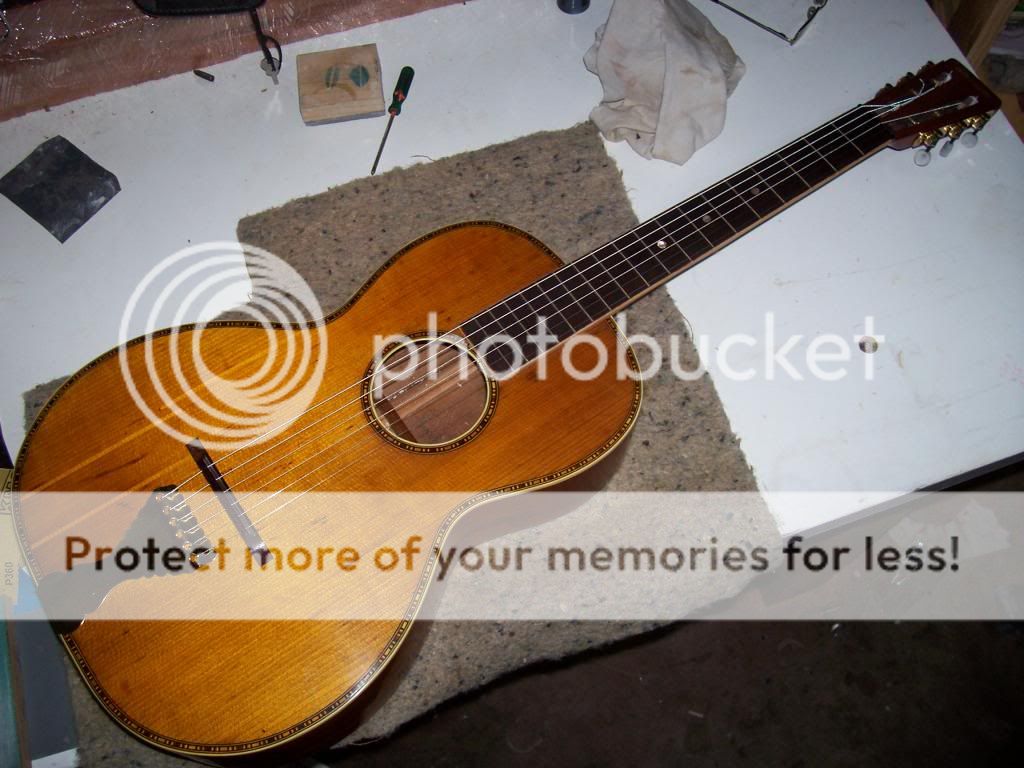 Tailpiece for a seven string acoustic guitar? The Acoustic Guitar Forum